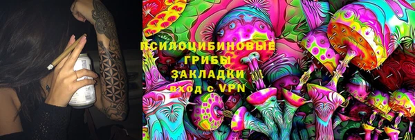 стафф Армянск