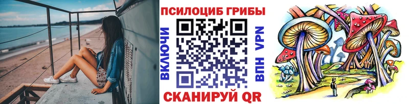 как найти наркотики  Волжск  Псилоцибиновые грибы Cubensis 